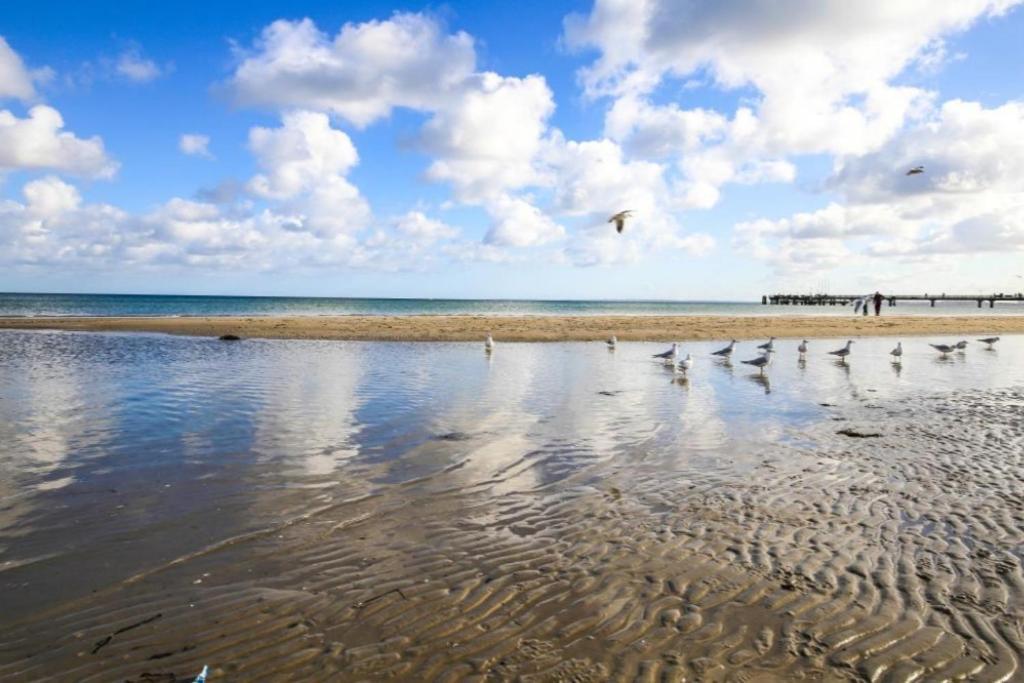 Ferienwohnung Seesternchen 3 Scharbeutz Dış mekan fotoğraf